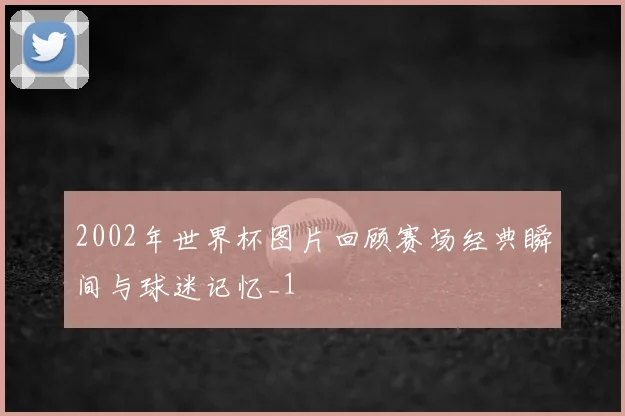 2002年世界杯图片回顾赛场经典瞬间与球迷记忆_1