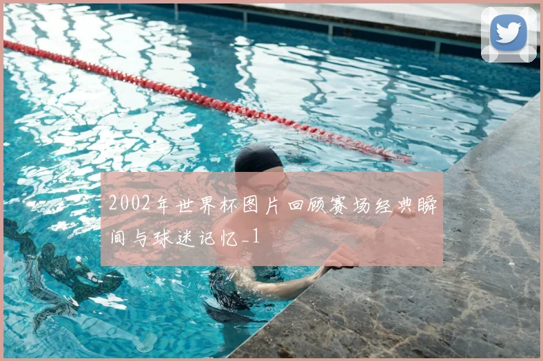 2002年世界杯图片回顾赛场经典瞬间与球迷记忆_1