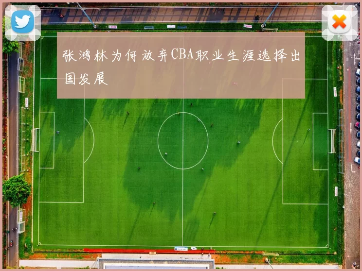 张鸿林为何放弃CBA职业生涯选择出国发展