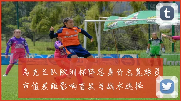 乌克兰队欧洲杯阵容身价总览球员市值差距影响首发与战术选择