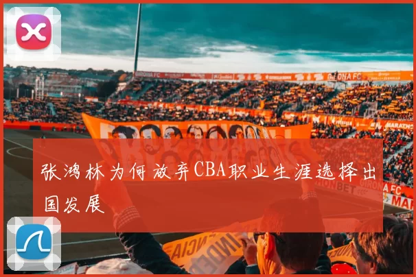 张鸿林为何放弃CBA职业生涯选择出国发展