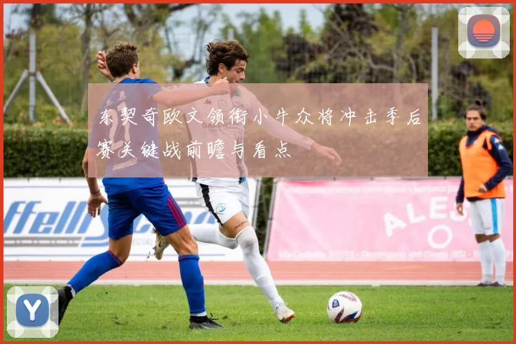 东契奇欧文领衔小牛众将冲击季后赛关键战前瞻与看点